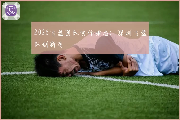 2026飞盘团队协作排名：深圳飞盘队创新高
