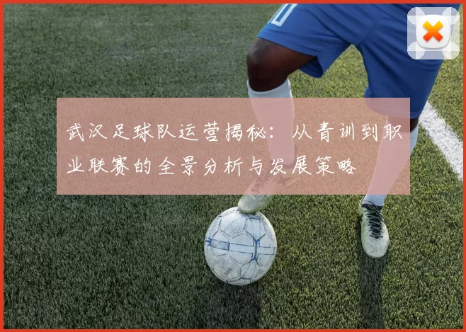 武汉足球队运营揭秘：从青训到职业联赛的全景分析与发展策略